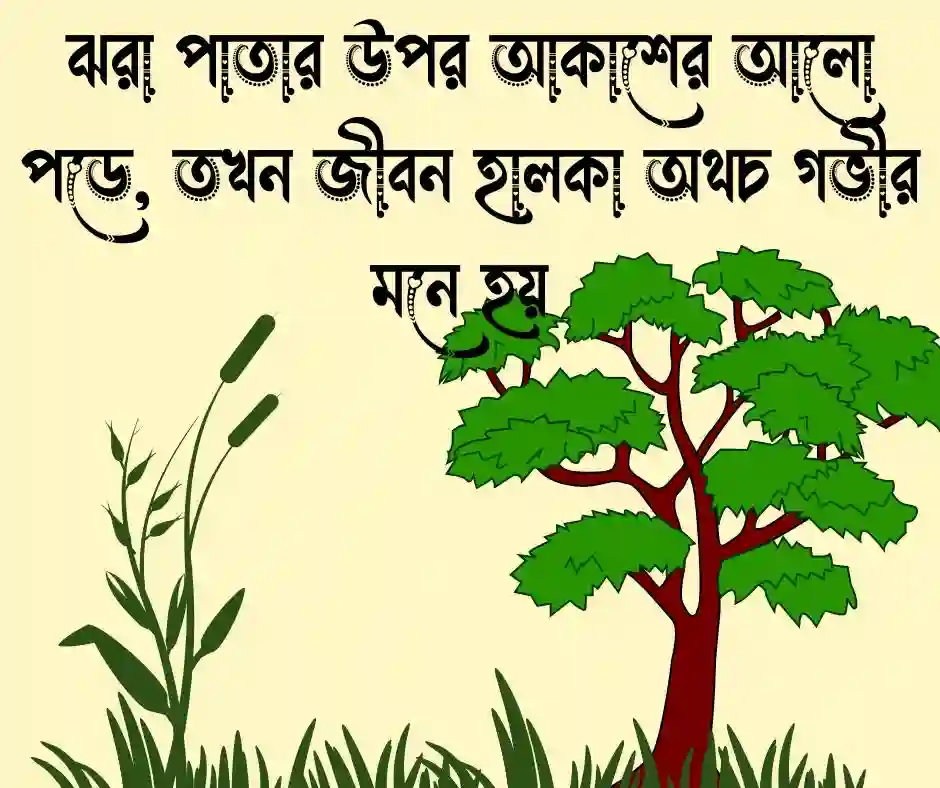 আকাশ ও গাছ নিয়ে ক্যাপশন