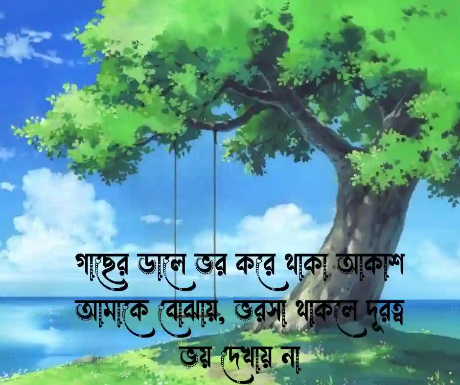 আকাশ ও গাছ নিয়ে স্ট্যাটাস&nbsp;