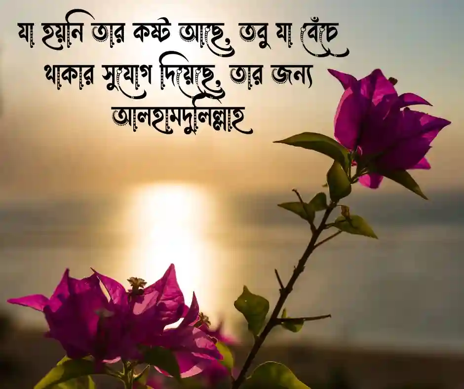 আলহামদুলিল্লাহ নিয়ে স্ট্যাটাস