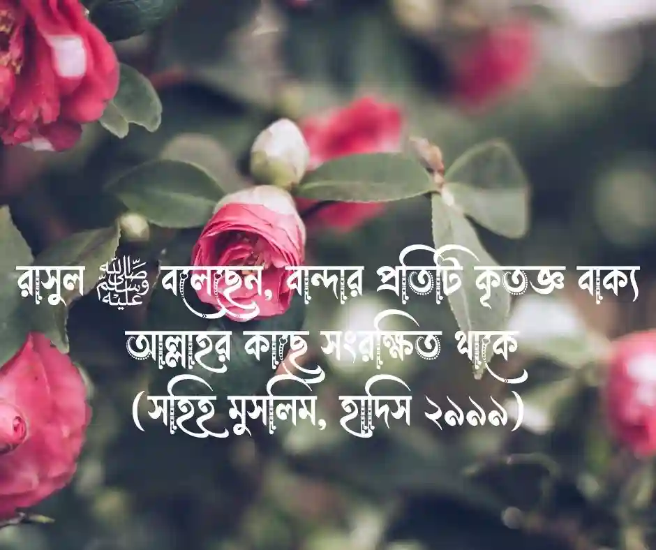 আলহামদুলিল্লাহ নিয়ে হাদিস