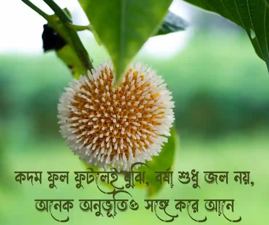 কদম ফুল নিয়ে ক্যাপশন