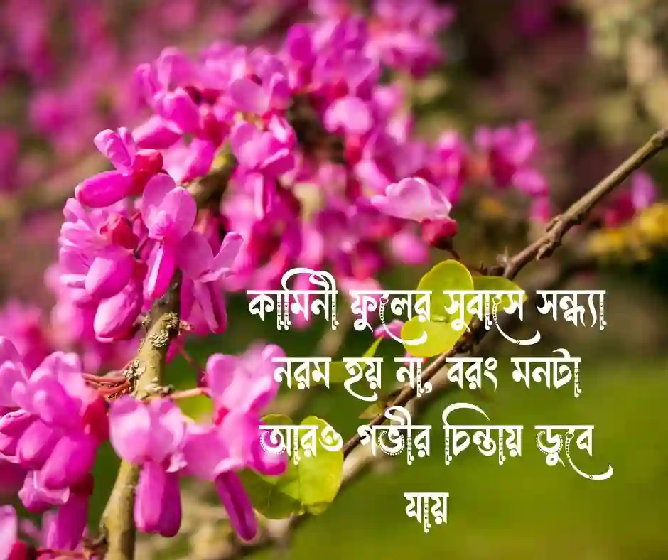 কামিনী ফুল নিয়ে ক্যাপশন