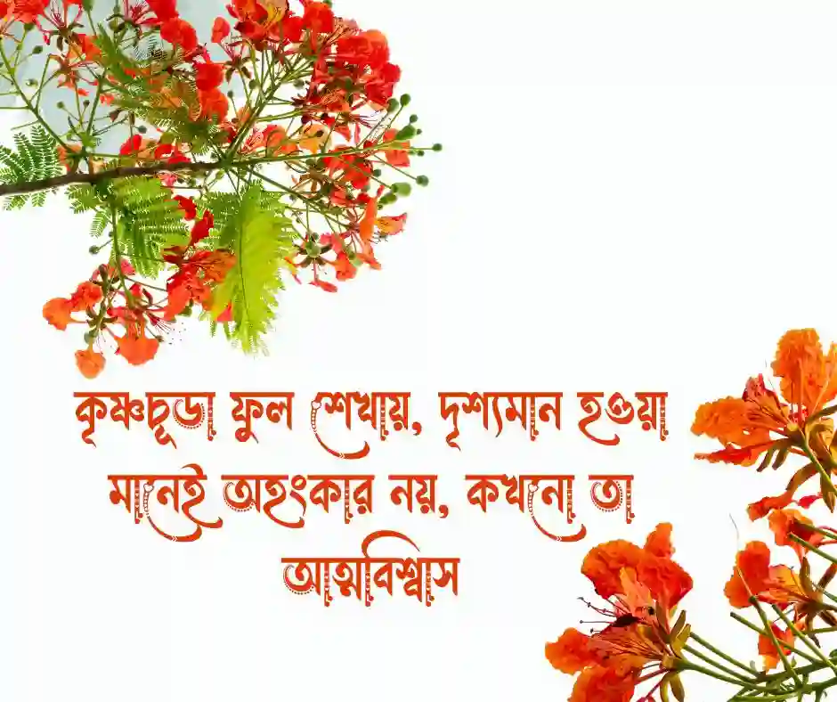 কৃষ্ণচূড়া ফুল নিয়ে ক্যাপশন