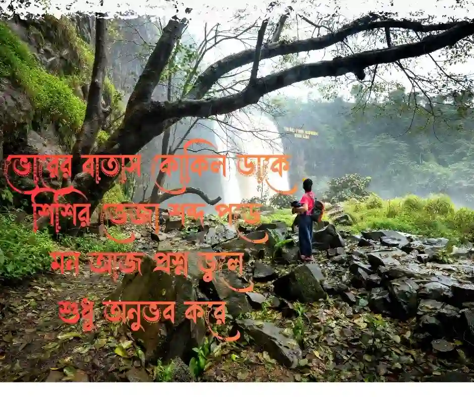 কোকিল নিয়ে কবিতা ও ছন্দ