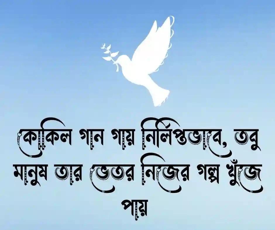 কোকিল নিয়ে ক্যাপশন