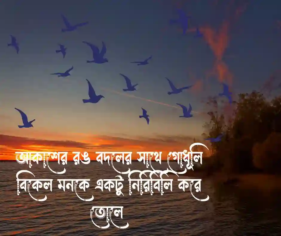 গোধূলি বিকেল নিয়ে ক্যাপশন বাংলা