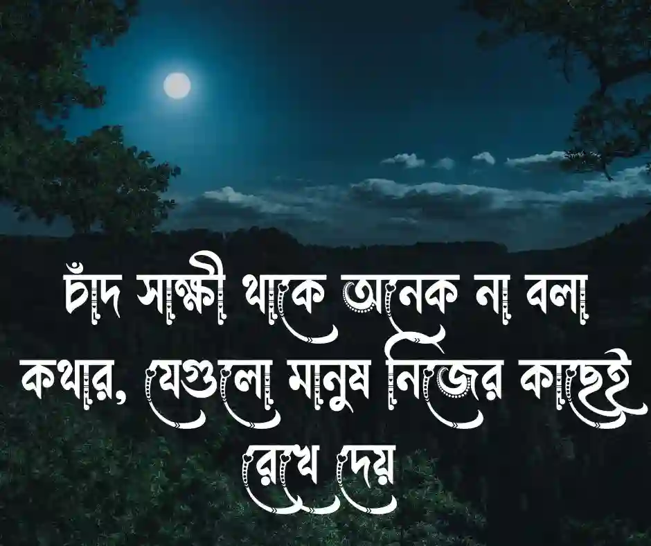 চাঁদ নিয়ে উক্তি
