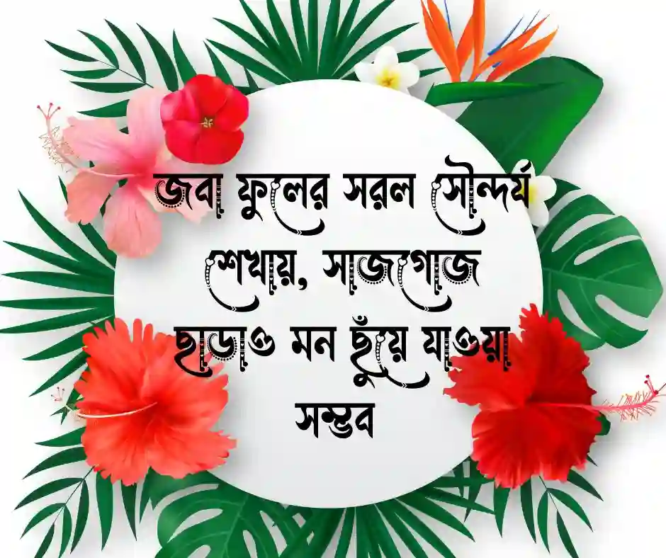 জবা ফুল নিয়ে ক্যাপশন