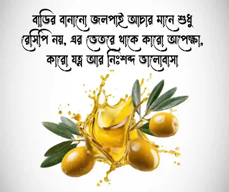 _জলপাই আচার নিয়ে ক্যাপশন