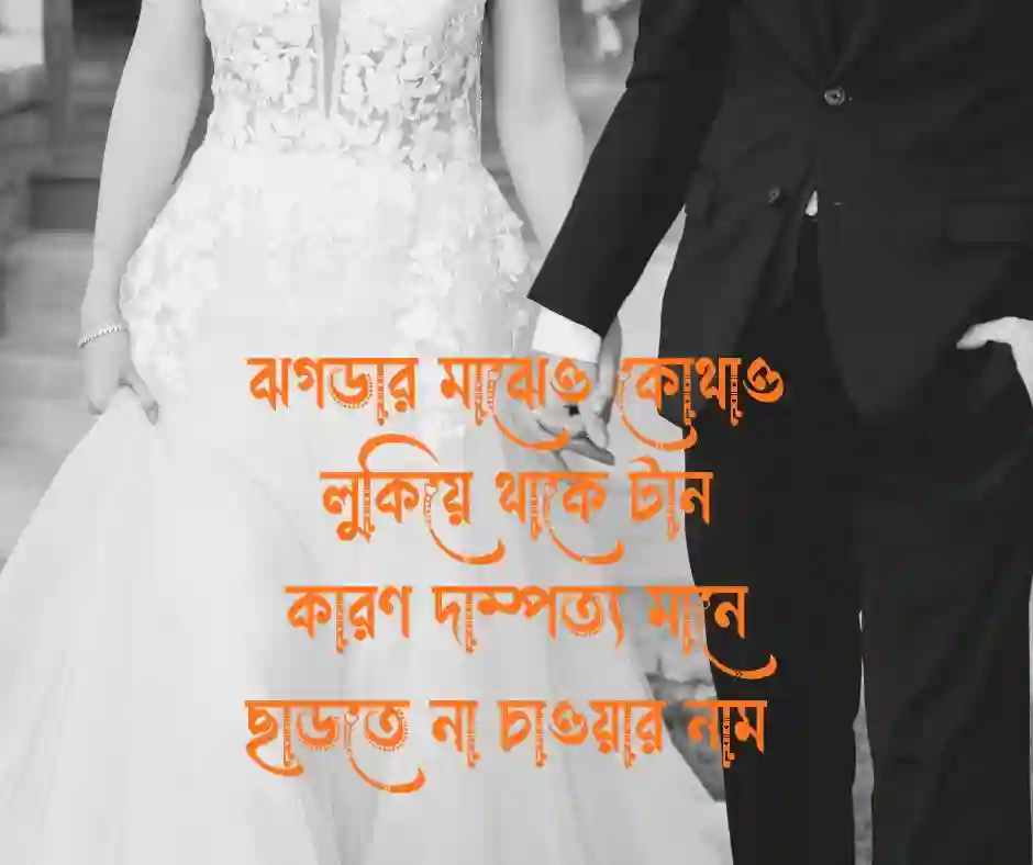 দাম্পত্য জীবন নিয়ে কবিতা