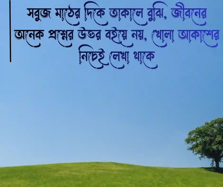 প্রকৃতির সৌন্দর্য নিয়ে উক্তি
