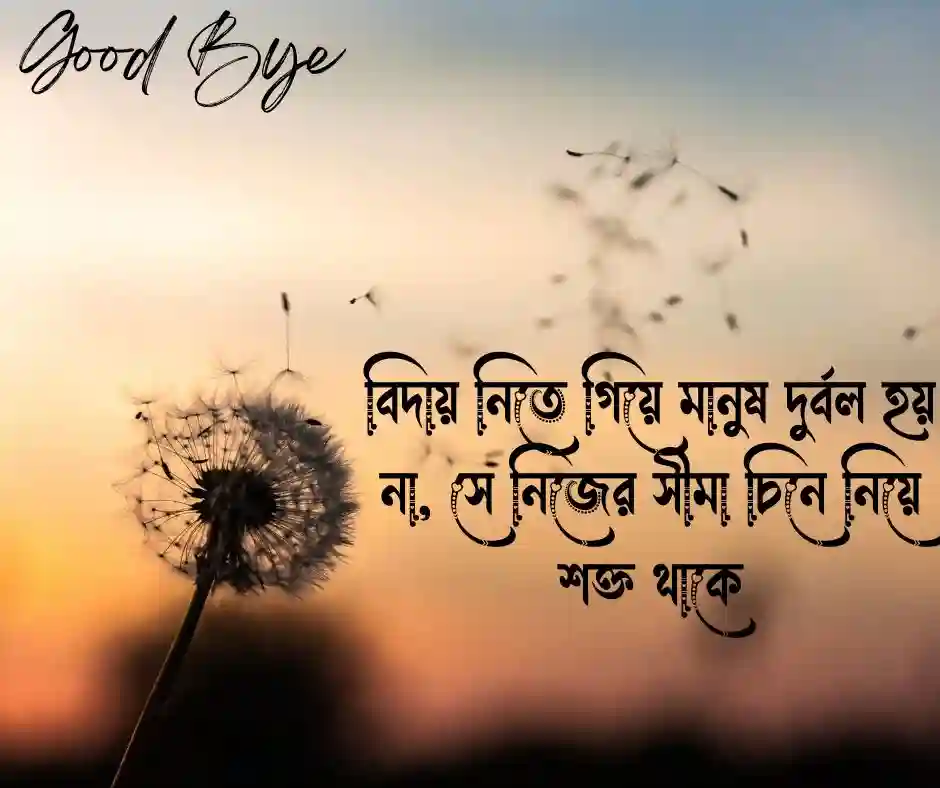 বিদায় নিয়ে স্ট্যাটাস