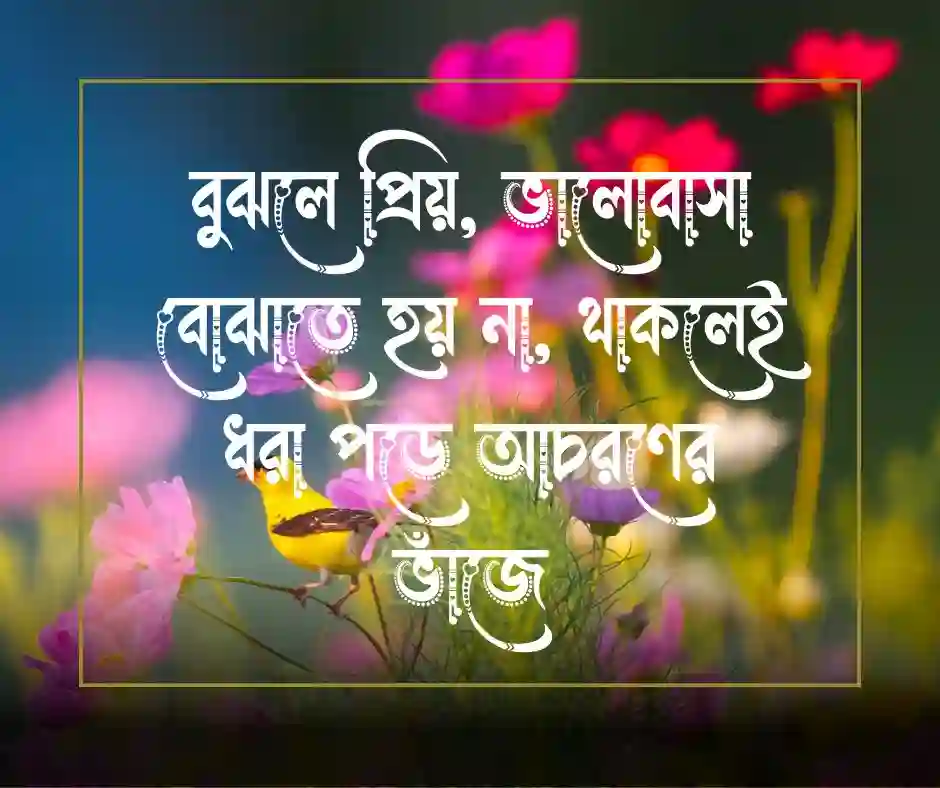 বুঝলে প্রিয় উক্তি