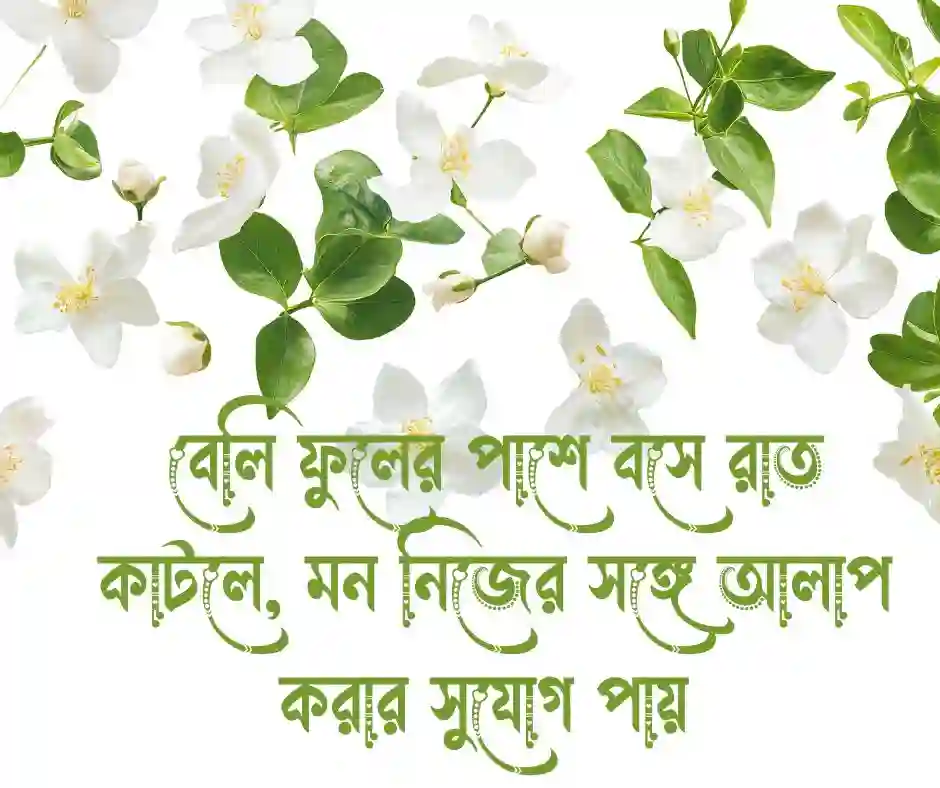 বেলি ফুল নিয়ে ক্যাপশন