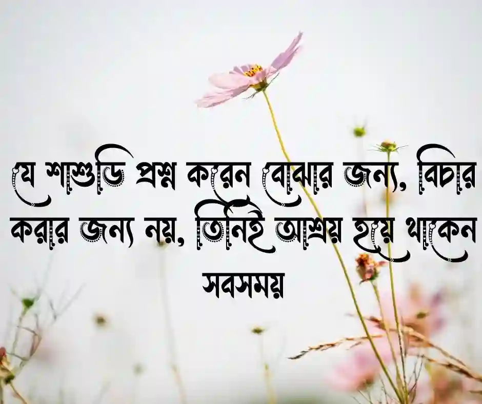 ভালো শাশুড়ি নিয়ে ক্যাপশন