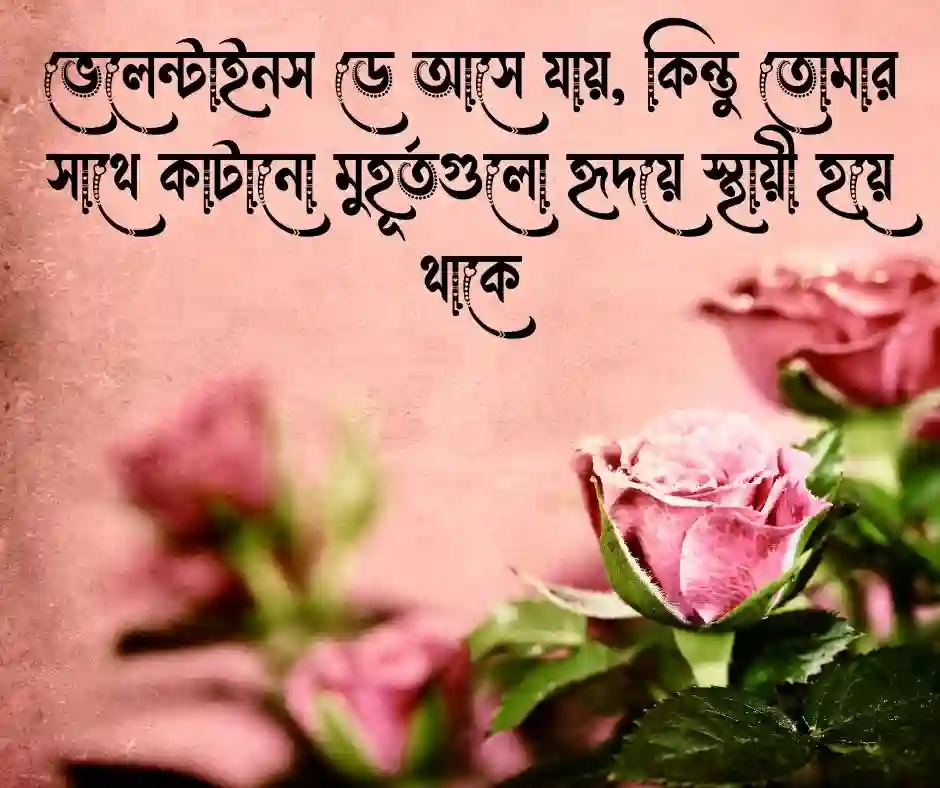 ভেলেন্টাইনস ডে রোমান্টিক ক্যাপশন (2)