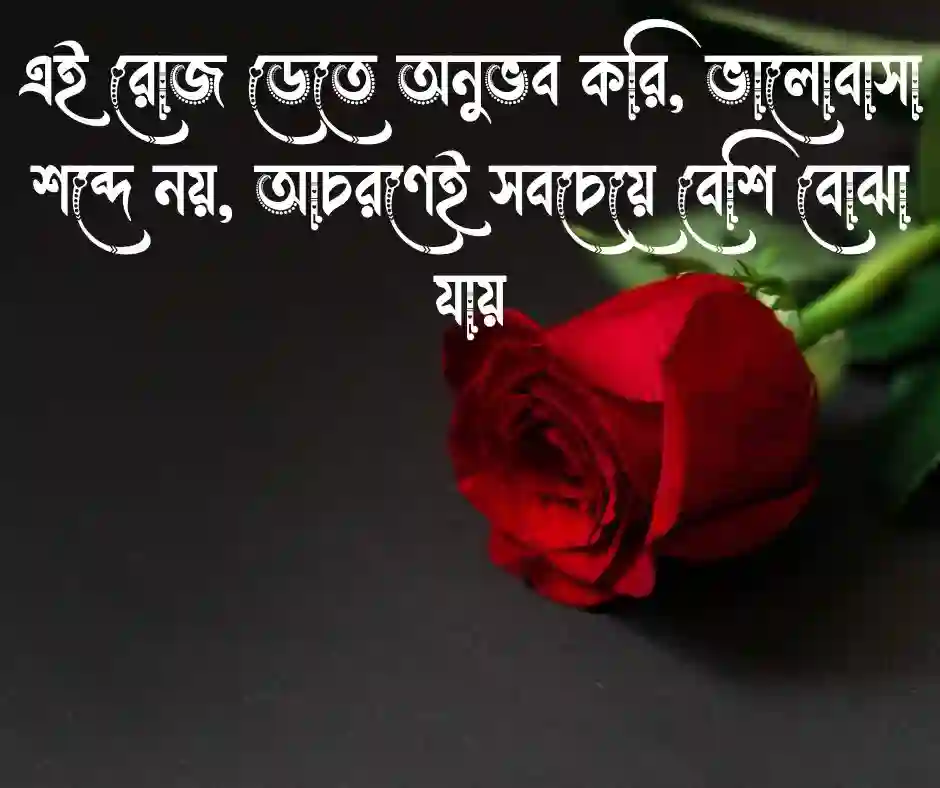 রোজ ডে ফেসবুক স্ট্যাটাস&nbsp; (2)