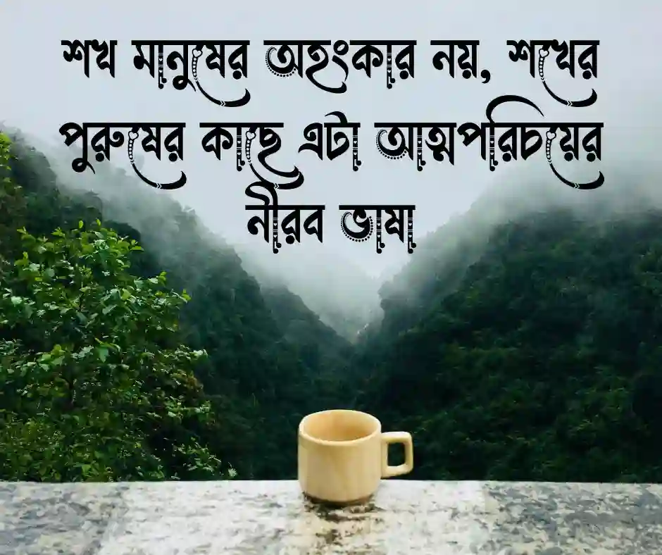 শখের পুরুষ নিয়ে উক্তি