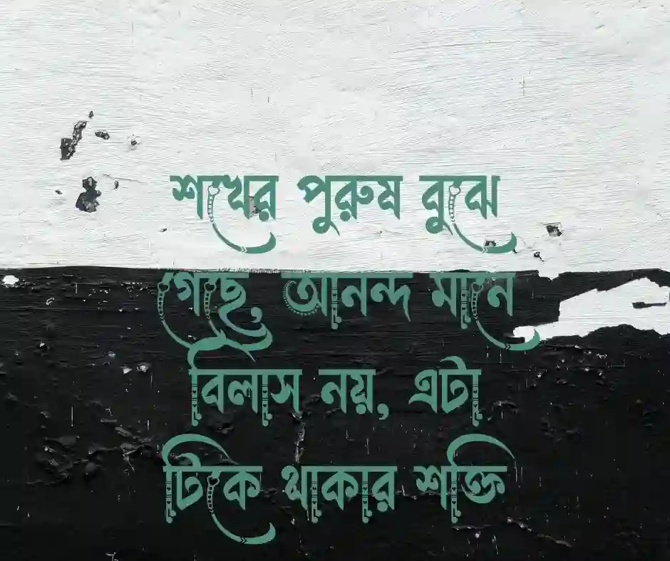 শখের পুরুষ নিয়ে কবিতা