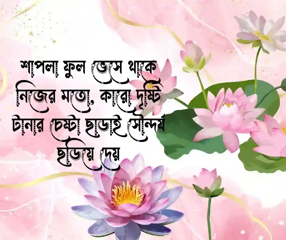 শাপলা ফুল নিয়ে ক্যাপশন
