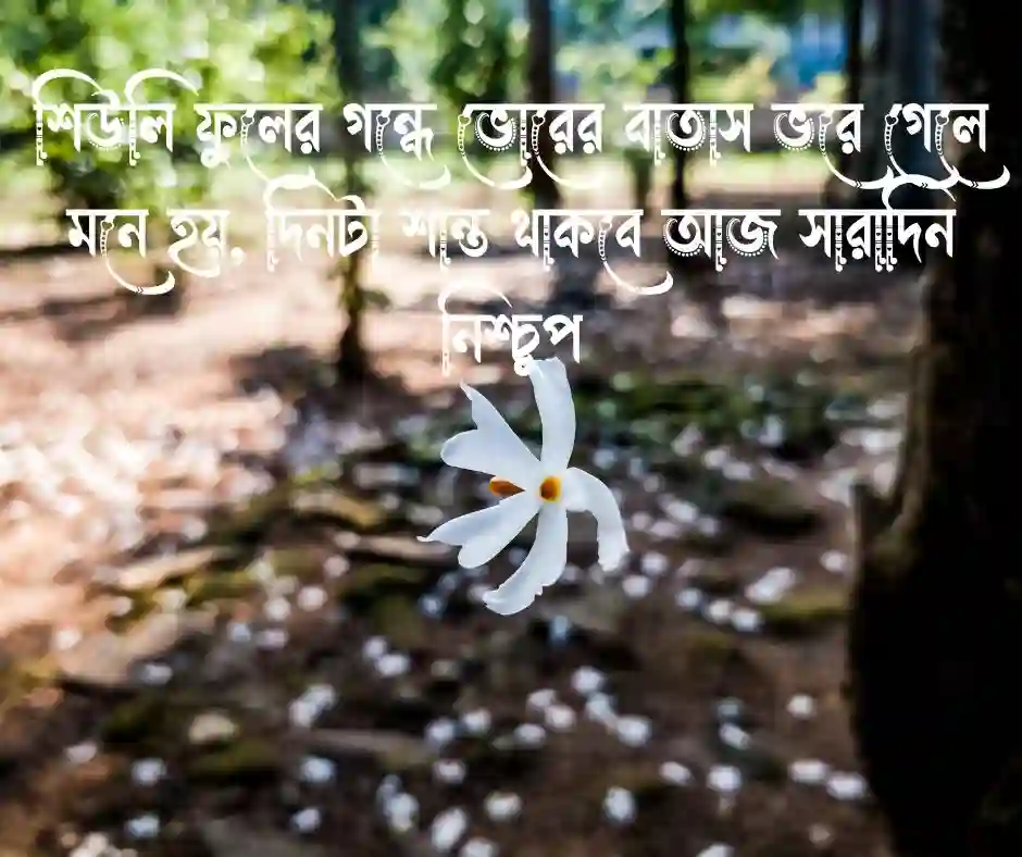 শিউলি ফুল নিয়ে ক্যাপশন