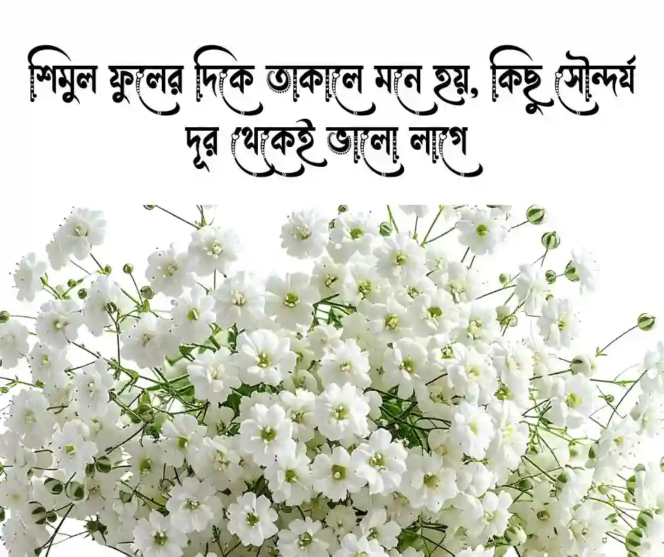 শিমুল ফুল নিয়ে ক্যাপশন