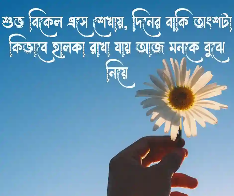 শুভ বিকেল ক্যাপশন বাংলা