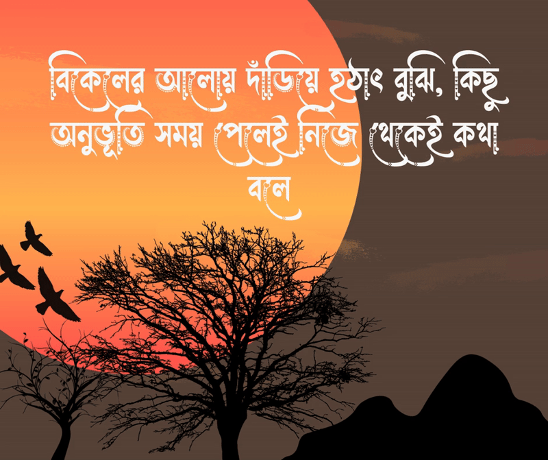 শুভ বিকেল ক্যাপশন