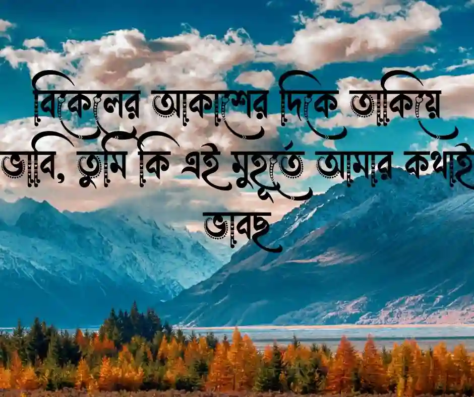 শুভ বিকেল রোমান্টিক মেসেজ