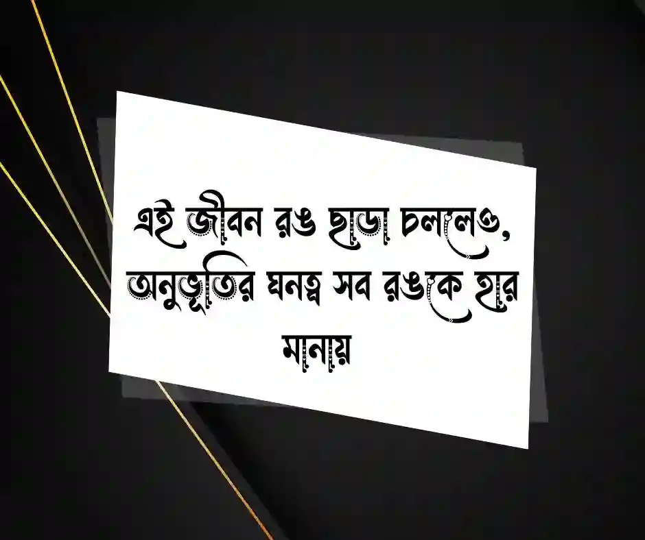 সাদা কালো জীবন নিয়ে উক্তি