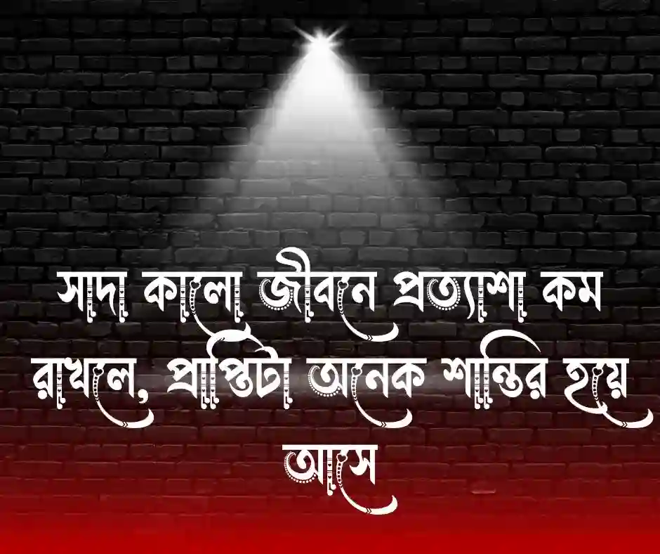 সাদা কালো জীবন নিয়ে কিছু কথা