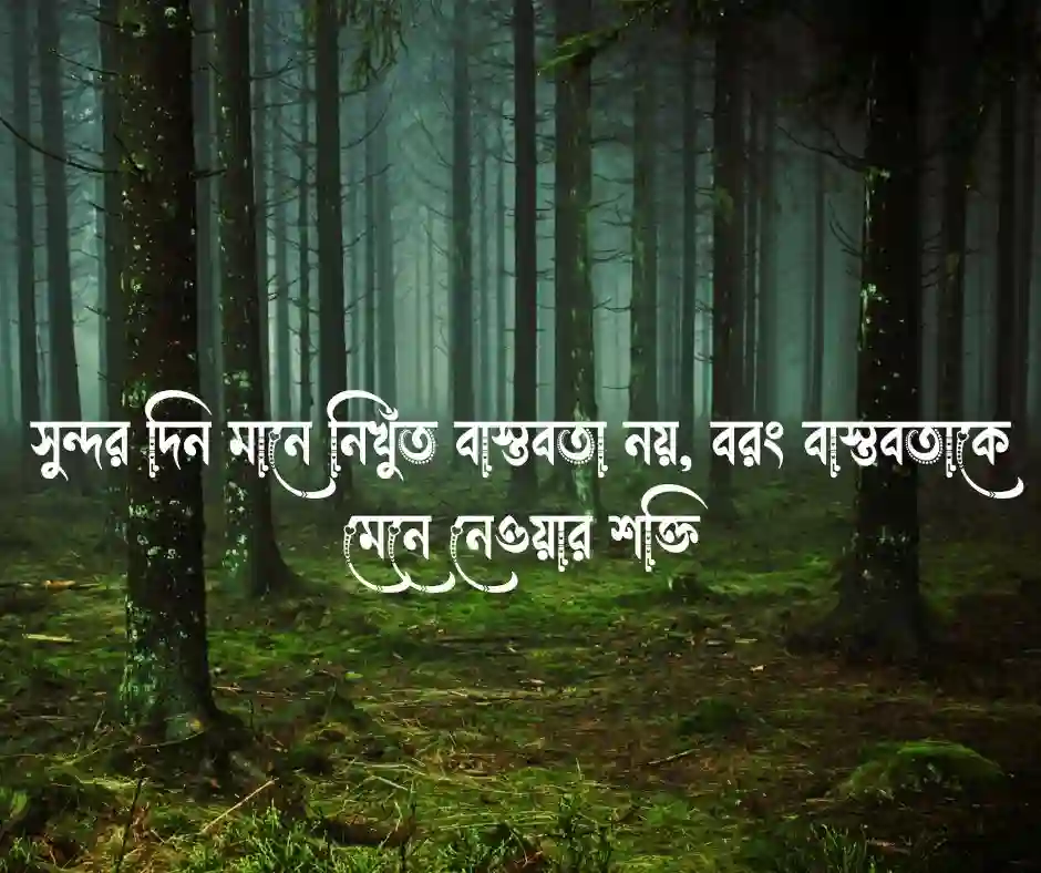 সুন্দর দিন নিয়ে উক্তি