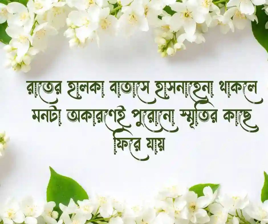 হাসনাহেনা ফুল নিয়ে ক্যাপশন