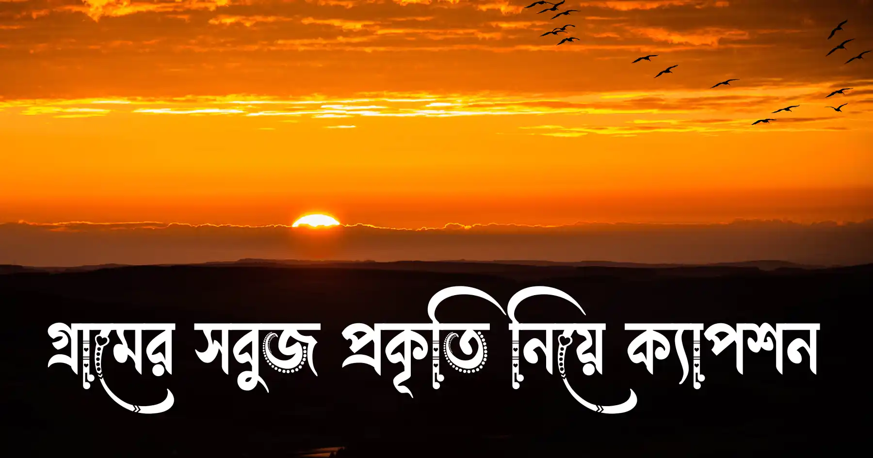 গ্রামের সবুজ প্রকৃতি নিয়ে ক্যাপশন