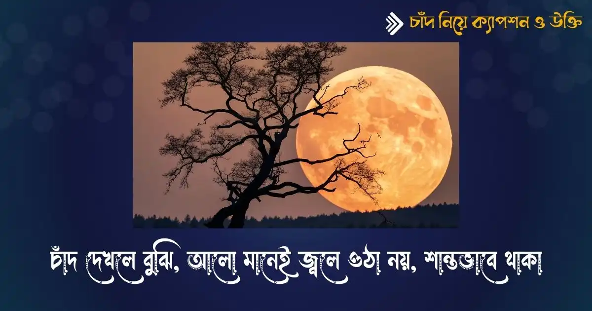চাঁদ নিয়ে ক্যাপশন ও উক্তি