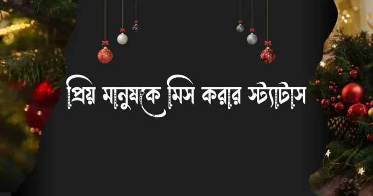 প্রিয় মানুষকে মিস করার স্ট্যাটাস
