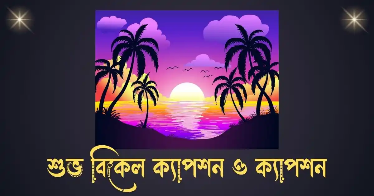 শুভ বিকেল ক্যাপশন ও ক্যাপশন