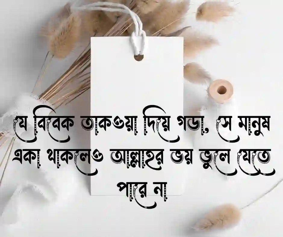 বিবেক নিয়ে ইসলামিক উক্তি
