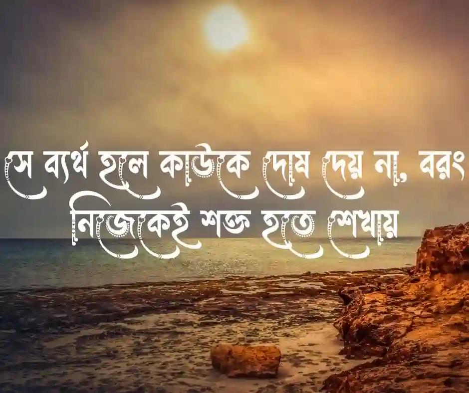 মধ্যবিত্ত ছেলেদের কষ্টের স্ট্যাটাস (1)