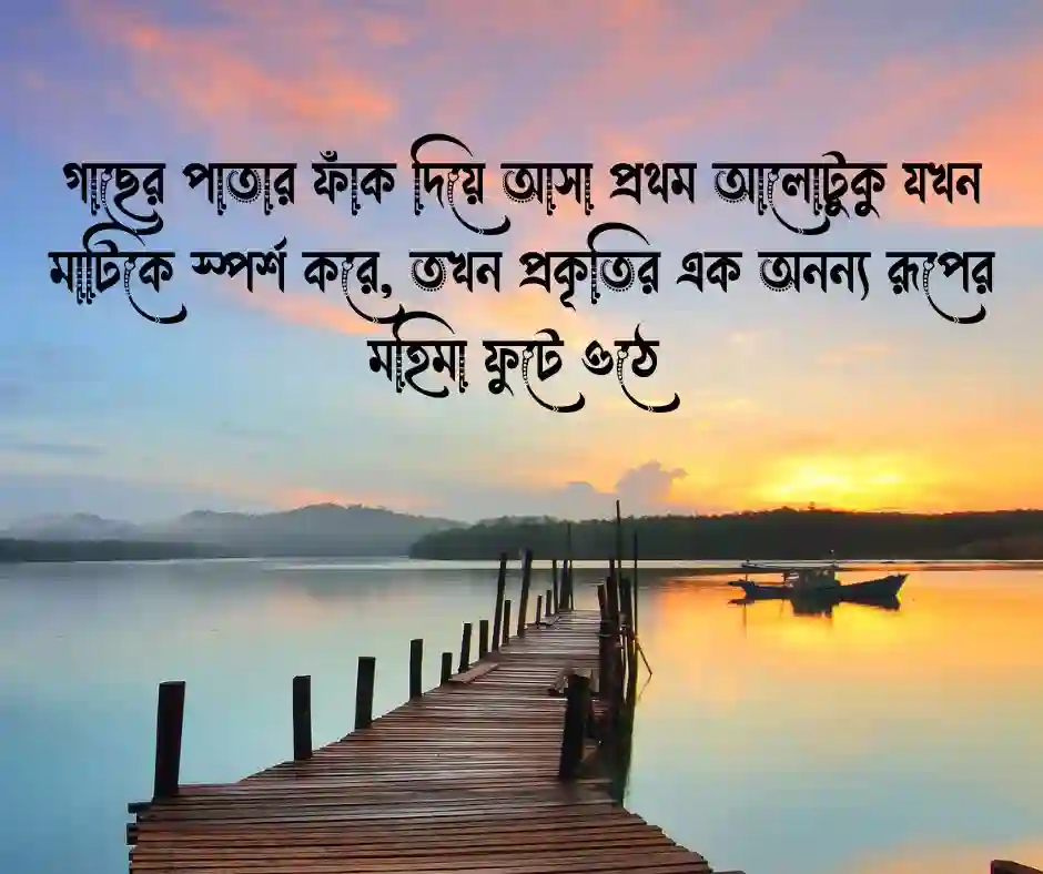 সকালের সূর্য নিয়ে ক্যাপশন