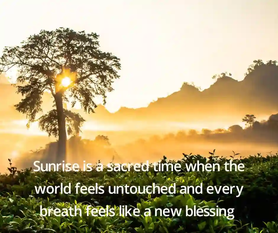 সূর্য নিয়ে ক্যাপশন english