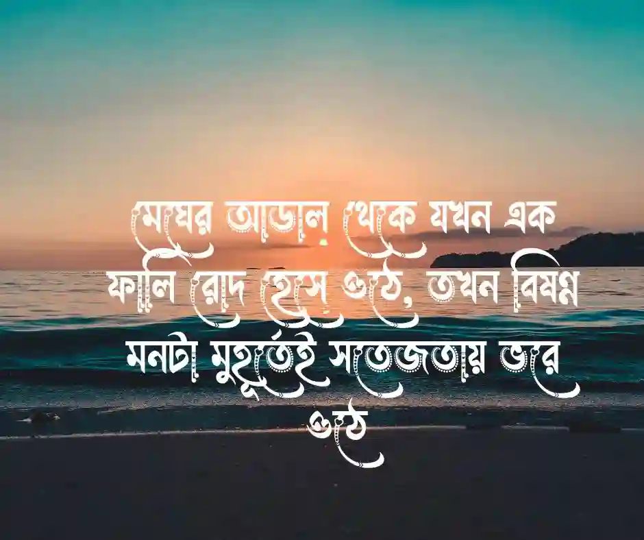 সূর্য নিয়ে ক্যাপশন